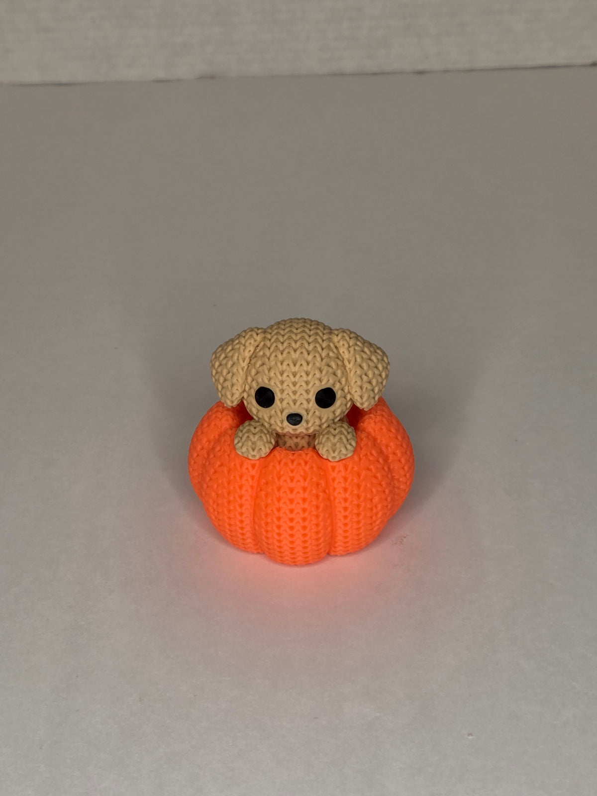 Dog in Pumpkin, Knitted Texture