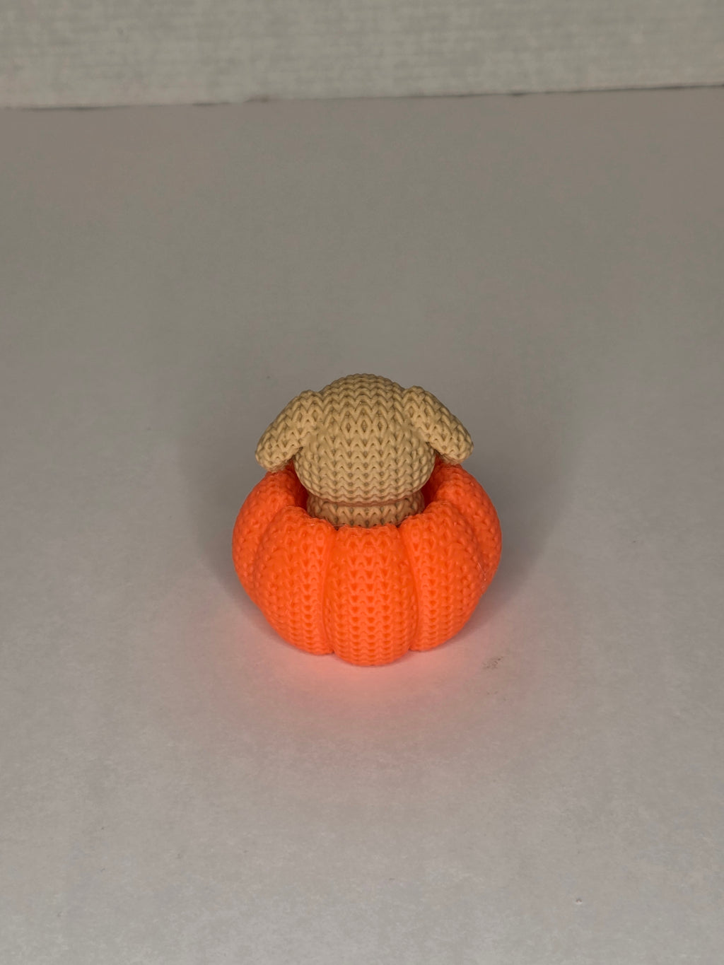 Dog in Pumpkin, Knitted Texture
