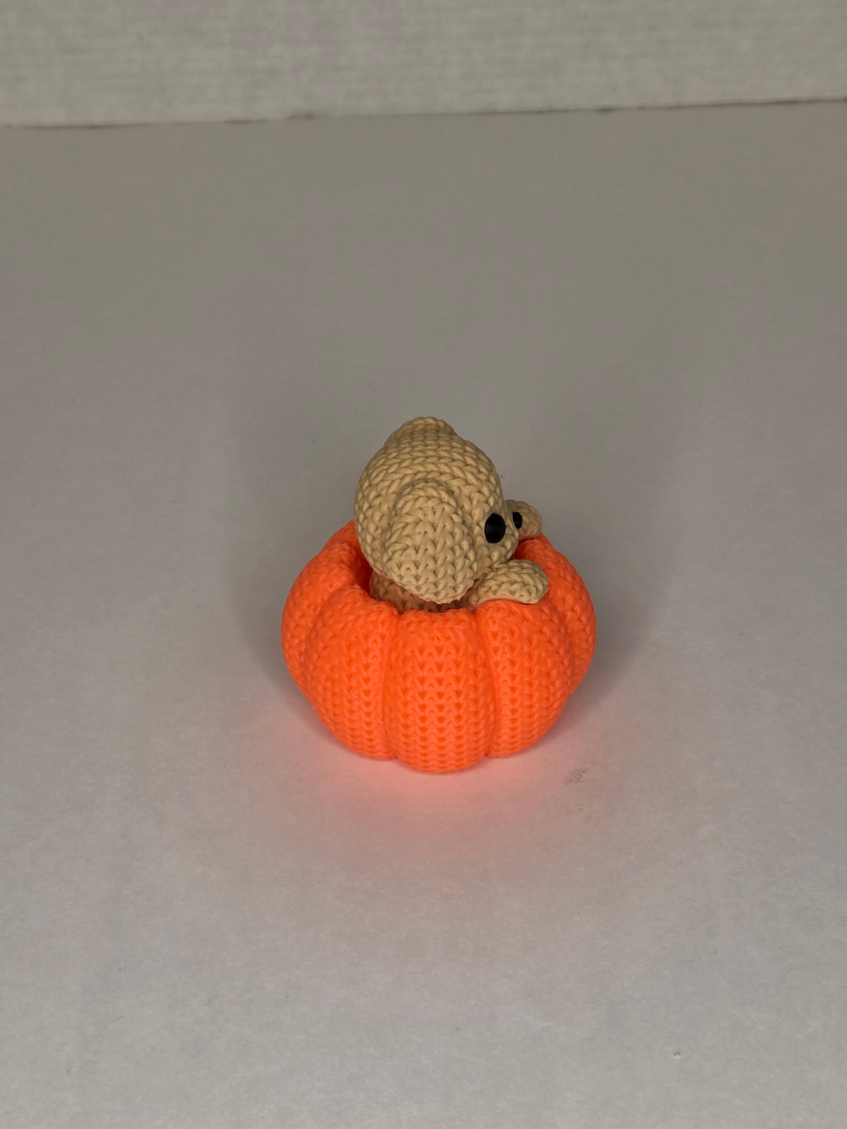 Dog in Pumpkin, Knitted Texture