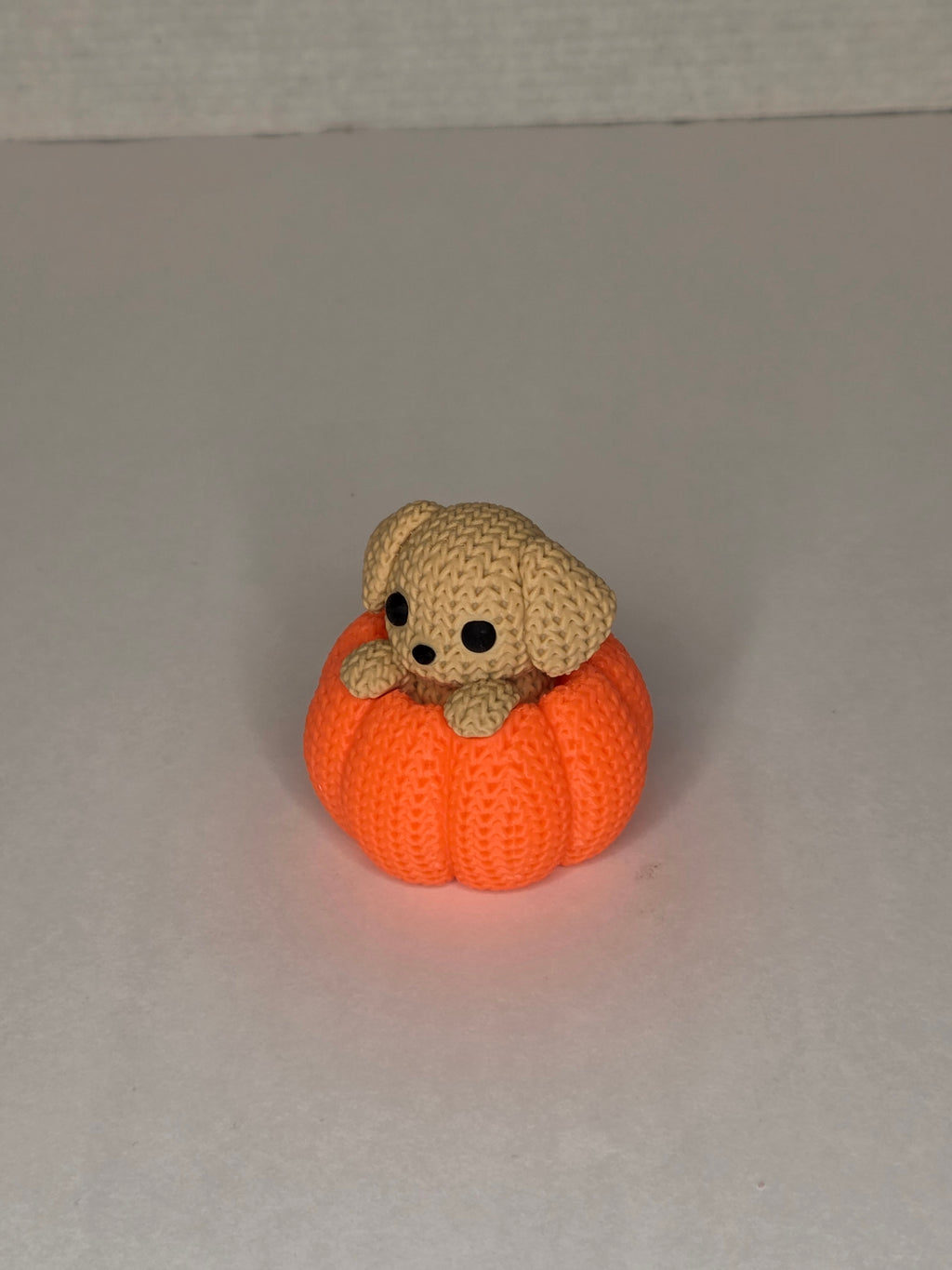 Dog in Pumpkin, Knitted Texture