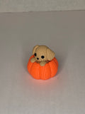Dog in Pumpkin, Knitted Texture