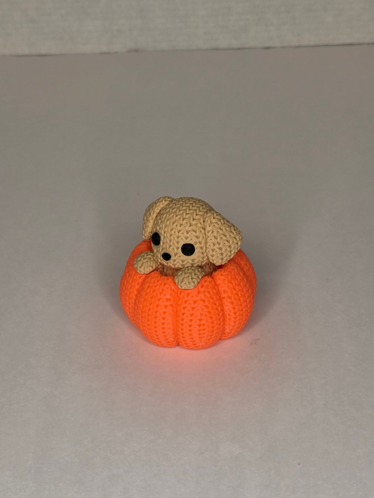 Dog in Pumpkin, Knitted Texture