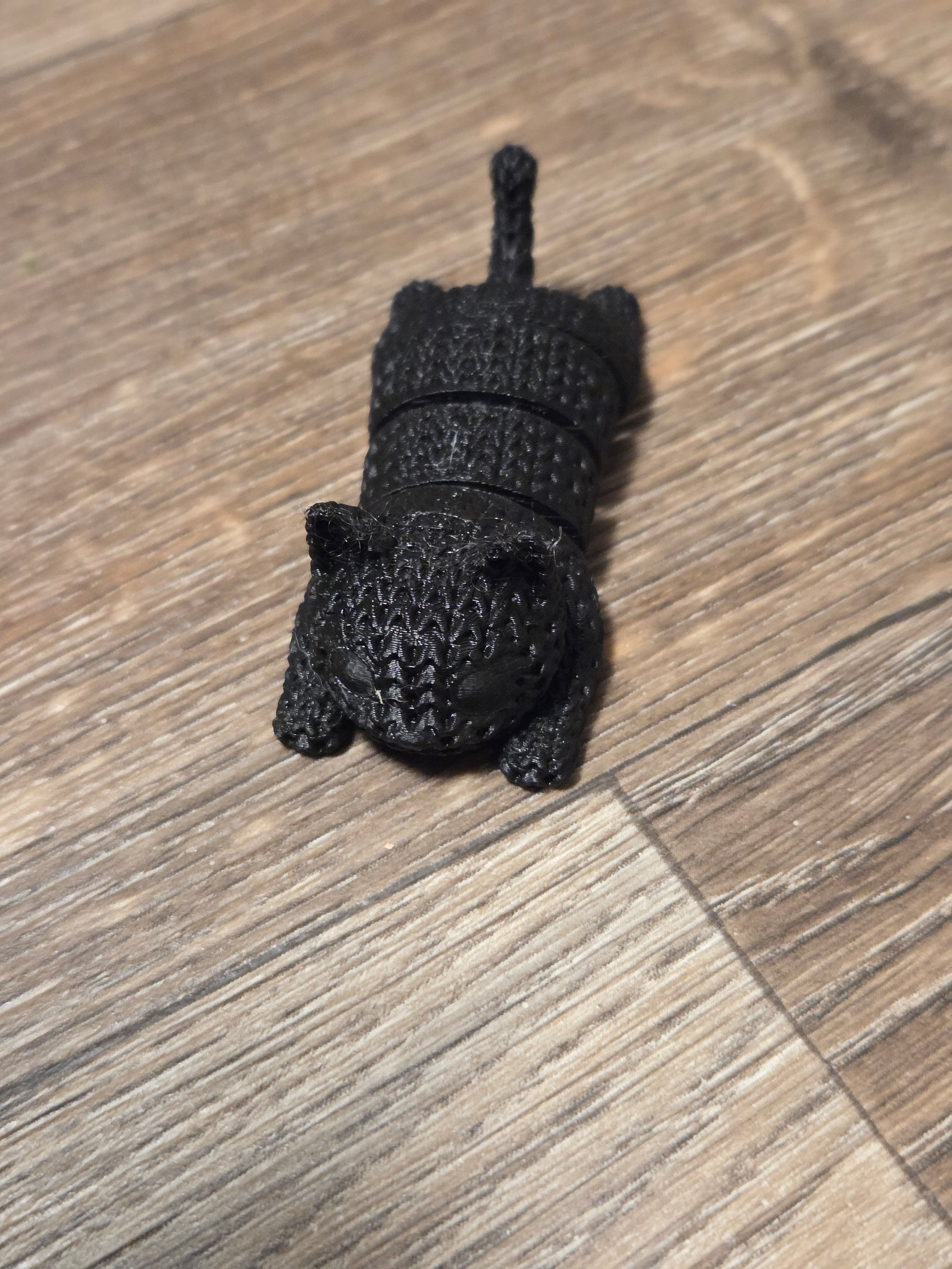 Articulated Cat