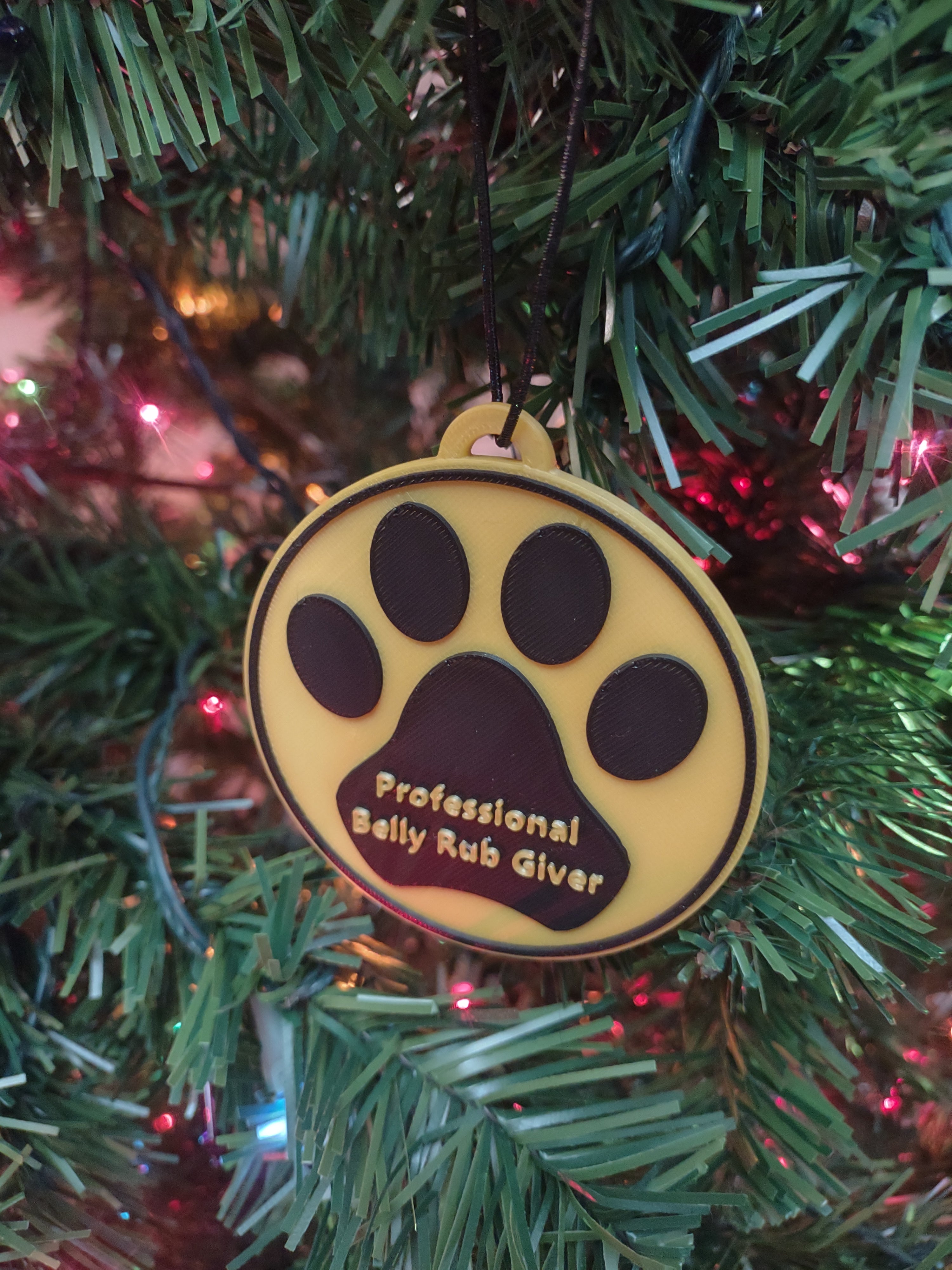 Edgy Awards - Pet Owner