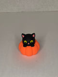 Cat in Pumpkin, Knitted Texture