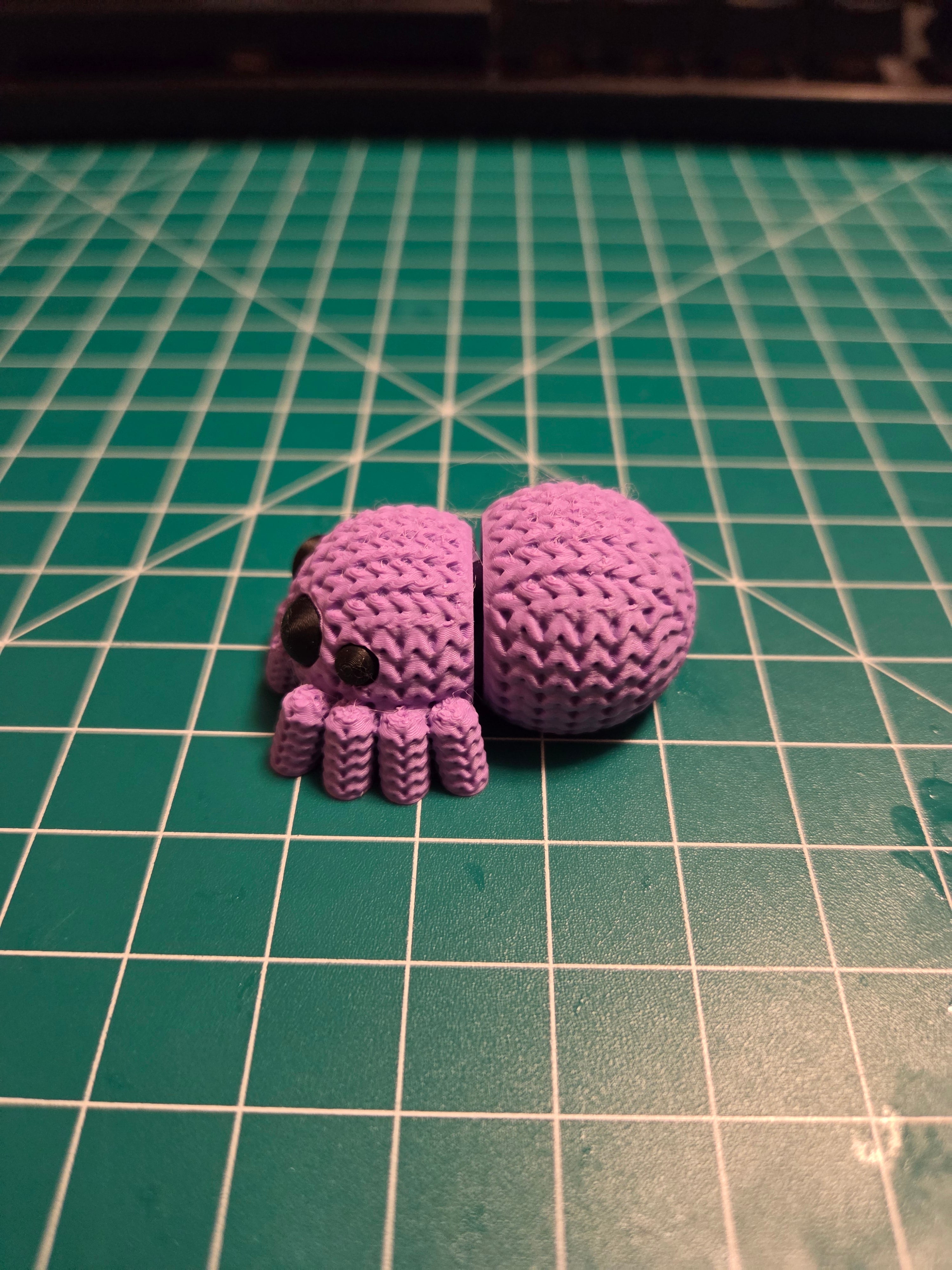 Articulated Jumping Spider, Fidget Toy, Stim gift